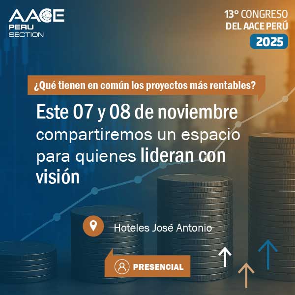 08-PROYECTOS-RENTABLES